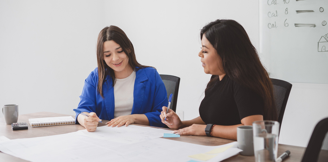 CONSULTORA NEXO