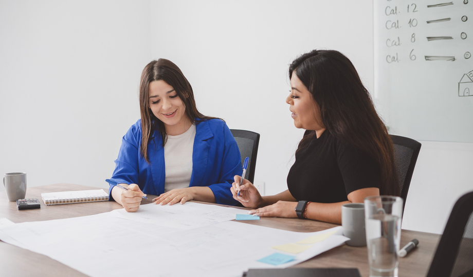 CONSULTORA NEXO