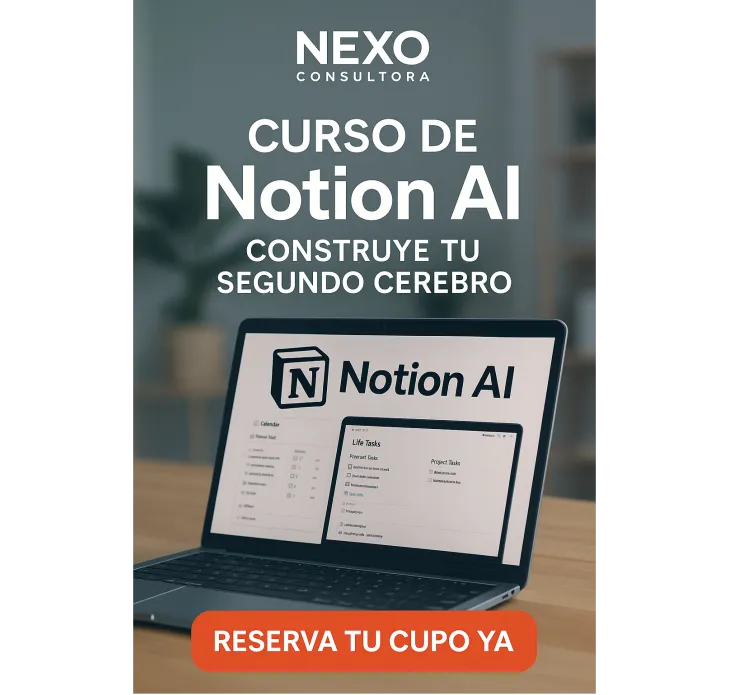 CONSULTORA NEXO