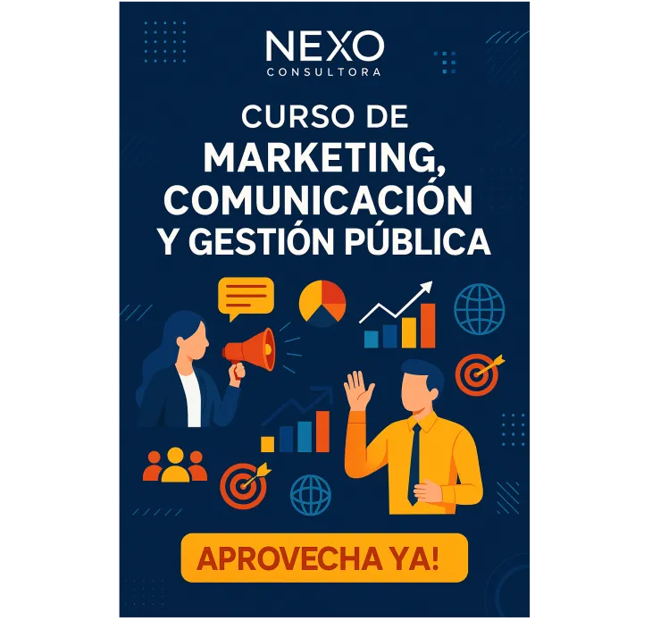 CONSULTORA NEXO