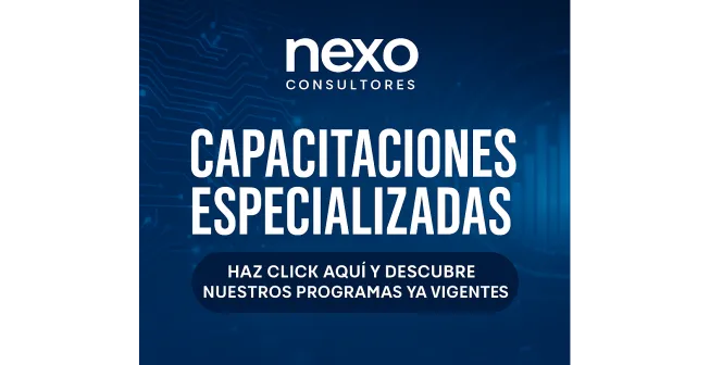 CONSULTORA NEXO
