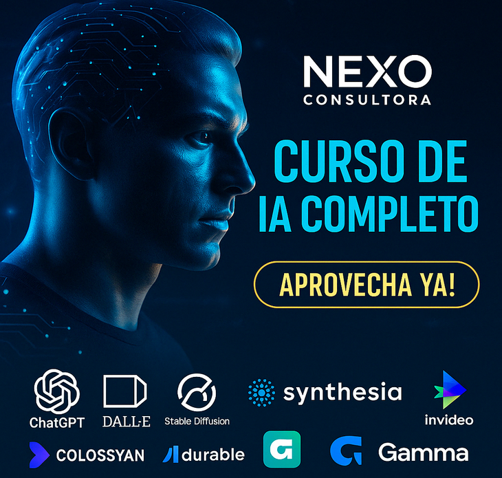 CONSULTORA NEXO